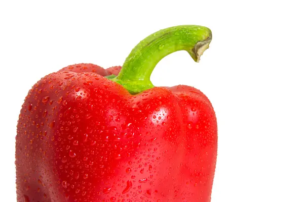 Wassertropfen auf rotem Paprika mit isoliertem auf weißem Hintergrund — Stockfoto