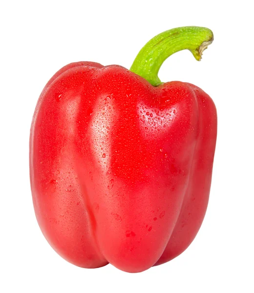 Wassertropfen auf rotem Paprika mit isoliertem auf weißem Hintergrund — Stockfoto