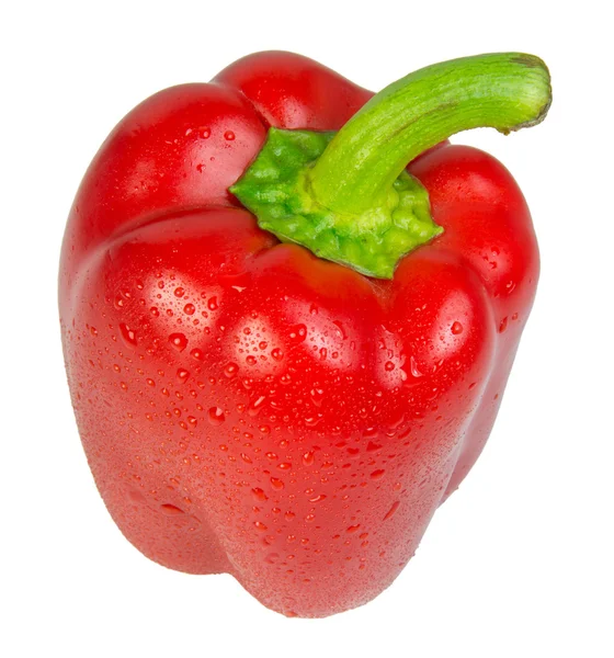 Wassertropfen auf rotem Paprika mit isoliertem auf weißem Hintergrund — Stockfoto