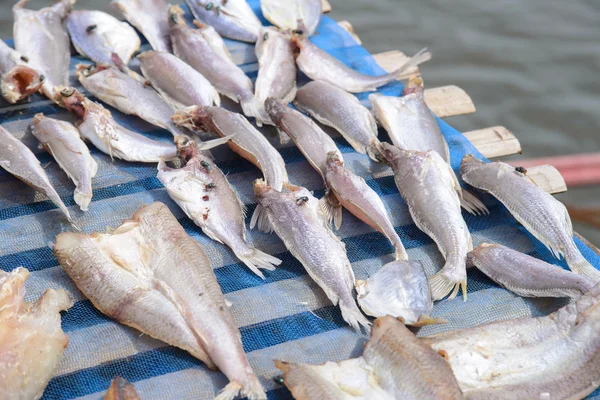 Flies on drying fish — Stock Photo, Image