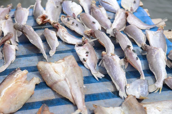 Flies on drying fish — Stock Photo, Image