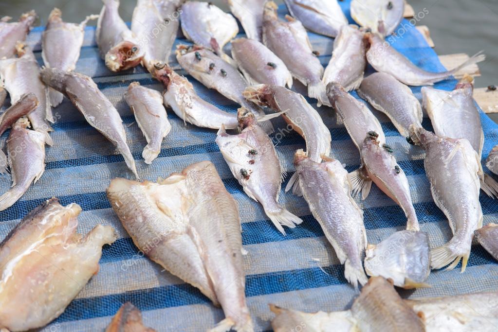 Flies on drying fish — Stock Photo © bigy00 67287109