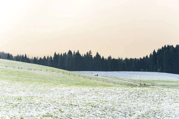 Pejzaż pole Winter Farm — Zdjęcie stockowe