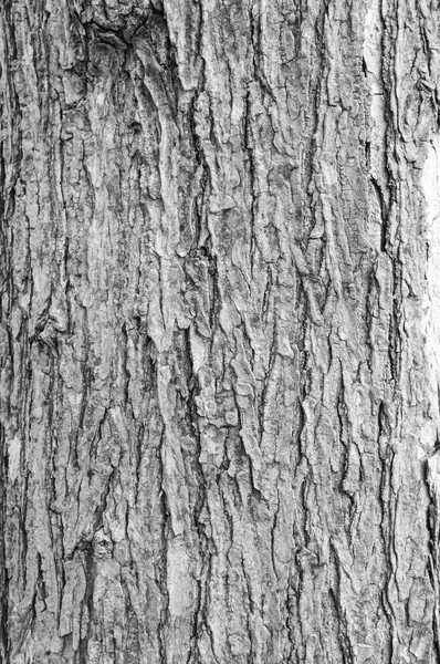 Vecchio incrinato legno grano texture sfondo — Foto Stock