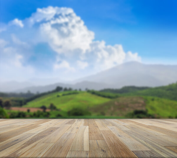 Paving wood floor on the forest backgrounds