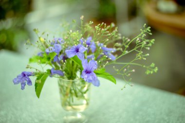 güzel çiçek vazosu