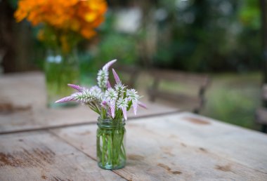 Ahşap masa üzerinde cam vazoda cockscomb çiçekler