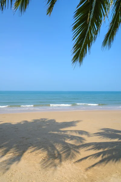 Tropischer Strand mit Kokospalmen im Sommer — Stockfoto