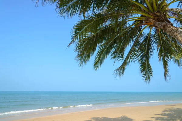 热带海滩与椰子棕榈在夏季时间 — 图库照片