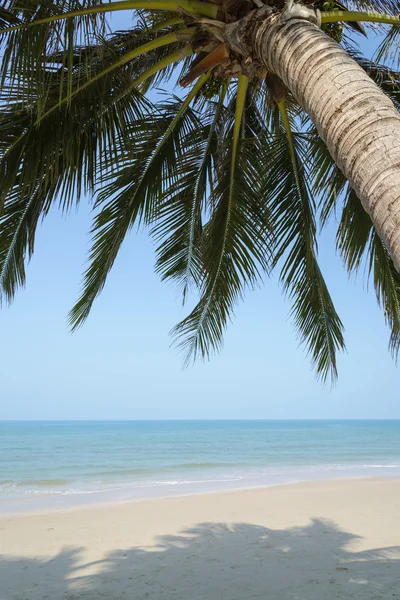 Tropischer Strand mit Kokospalmen im Sommer — Stockfoto