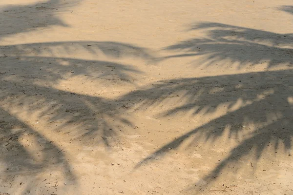 Stín kokosových listů na tropické pláži — Stock fotografie