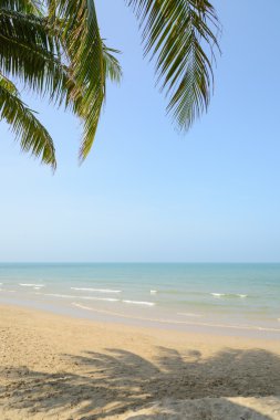 Yaz saati Palm'da Hindistan cevizi ile tropikal plaj