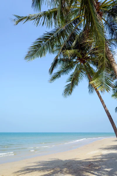 Tropisch strand met coconut palm op zomertijd — Stockfoto
