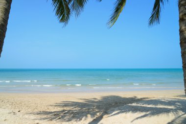 Yaz saati Palm'da Hindistan cevizi ile tropikal plaj