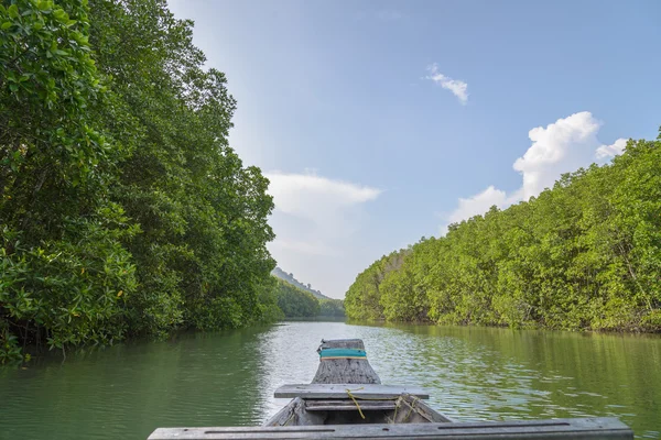 Traditional wooden boat through mangrove forest — Stock Photo, Image