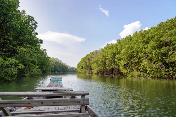 Traditional wooden boat through mangrove forest — Stock Photo, Image