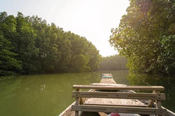 Barco de madeira tradicional através da floresta de mangue — Fotografia de Stock