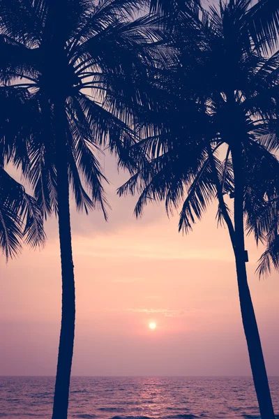 日落与棕榈树剪影在象岛或岛昌，泰国 — 图库照片