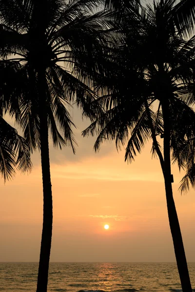 Tramonto con silhouette di palme nell'isola di Chang o Koh Chang, Thailandia — Foto Stock