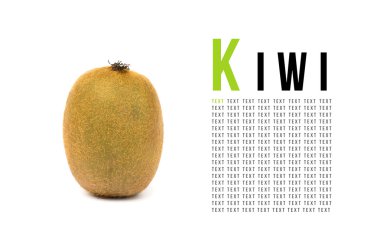 Kivi örnek metin beyaz zemin üzerine