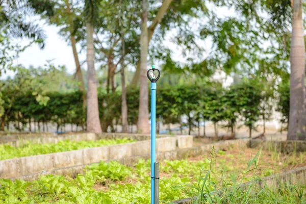 Aspersor, sistema de riego de jardín ley de riego —  Fotos de Stock