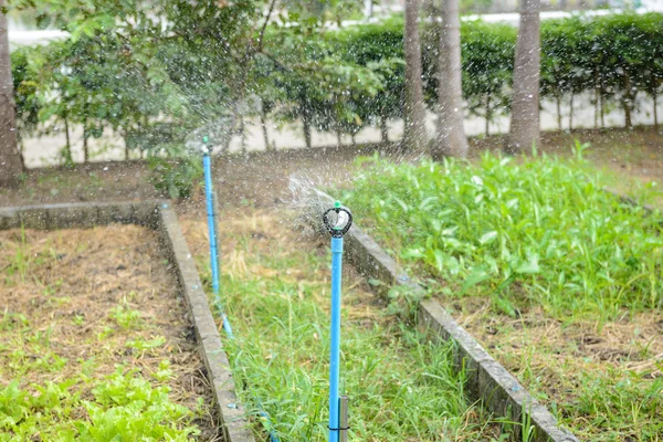 Aspersor, sistema de riego de jardín ley de riego —  Fotos de Stock