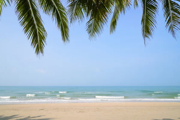 Tropisch strand met coconut palm op zomertijd — Stockfoto