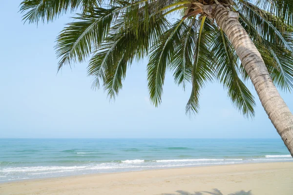 Tropischer Strand mit Kokospalmen im Sommer — Stockfoto