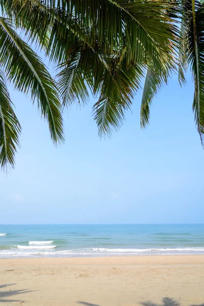 Tropická pláž s kokosových palem v letní době — Stock fotografie