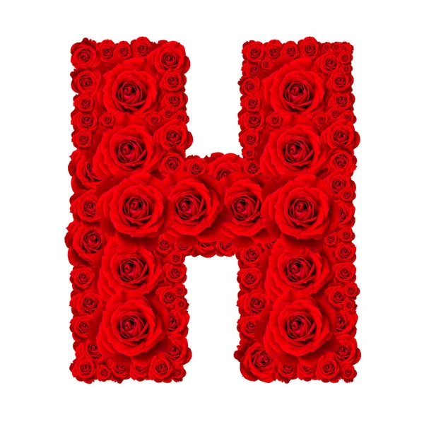 Rose alphabet set - Alphabet capital letter H made from red rose — Stock Photo, Image