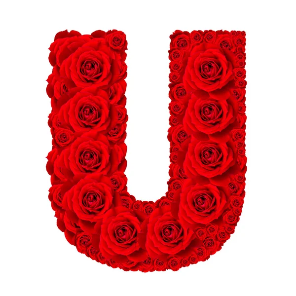 Rose alphabet set - Alphabet capital letter U made from red rose — Stock Photo, Image