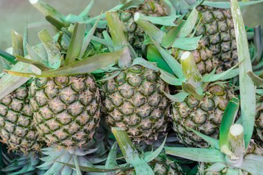 satışı için taze ananas