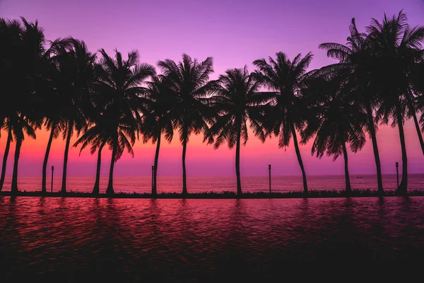Günbatımı siluet palmiye ağaçları ile