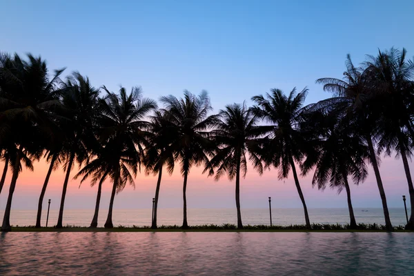 日落与剪影棕榈树 — 图库照片