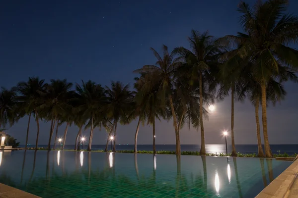 Palm Trees and Moon at Night tim