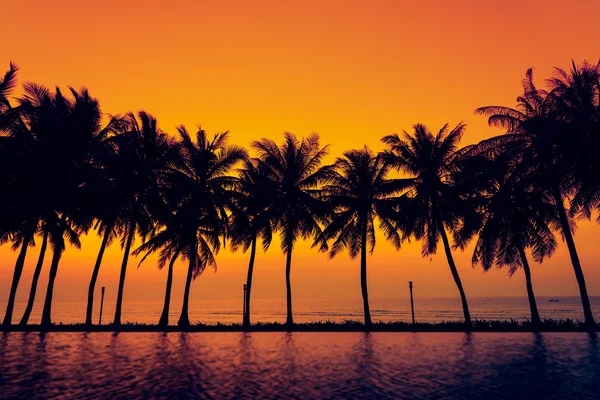 Zonsondergang met palmbomen silhouet Stockfoto