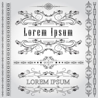 Vintage kaligrafi tasarım öğesi - vektör kümesi. Vektör çizim