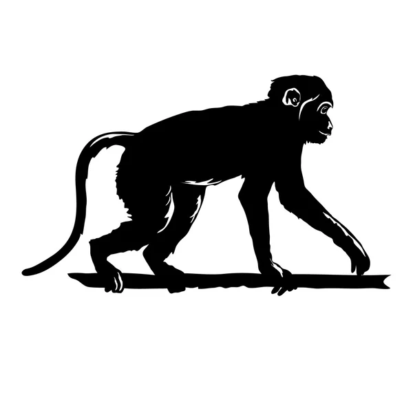 Monkey Black silhouette on white background isolated. Hand drawn silhouette of funny animal Chimpanzee walking stick. Chinese New Year zodiac symbol Horoscope. Element for design. Vector illustration — Stock vektor