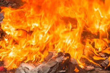 Fier bir şey ve çok sıcak yok