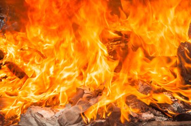 Fier bir şey ve çok sıcak yok
