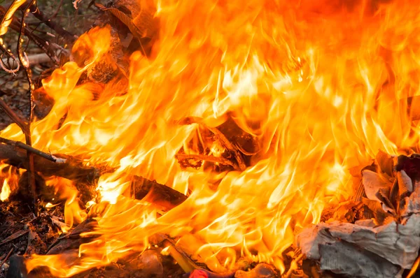 The fier are destroy anything  and very hot — Stock Photo, Image