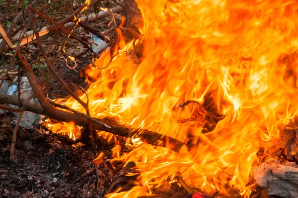 Les fier détruisent tout et très chaud — Photo