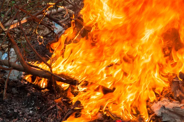 Les fier détruisent tout et très chaud — Photo