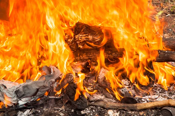 Les fier détruisent tout et très chaud — Photo