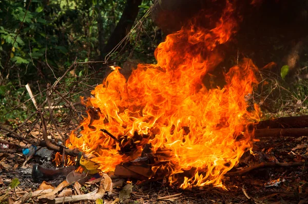 Les fier détruisent tout et très chaud — Photo