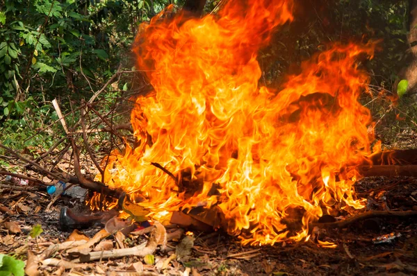 Les fier détruisent tout et très chaud — Photo