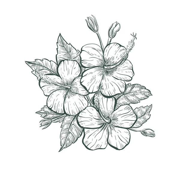 Sketch Hibiscus flower, isolated retro flower sign. Tropical Hibiscus flower — Archivo Imágenes Vectoriales