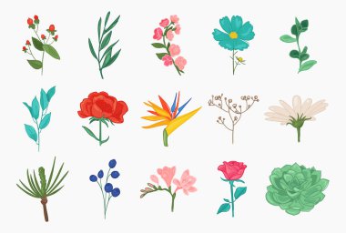 Bahar ve yaz çiçekleri koleksiyonu şakayık, papatya, gül, sakura, manolya, yapraklar, romantik çiçek elementleri.