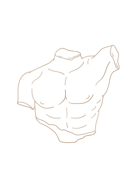 Vektor isolerad ikon antika skulptur. Antik grekisk staty kropp. Linjär ikon grek hane torso, manliga abs siluett skiss illustration. — Stock vektor