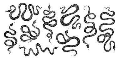 Etnik süslemeli bir yılan kümesi. İskandinav güdüleri olan yılan siluetleri, logo, dövme ya da siyah beyaz tasarım çıkartması için totem hayvan yılan grafikleri.